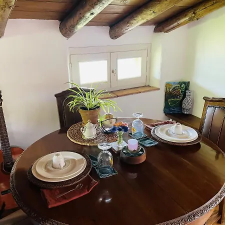 Cozy Wooden Attic With Panoramic Views Apartment *